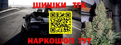 прущие крисы Гатчина
