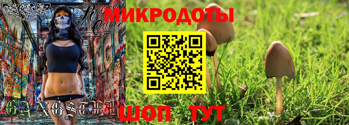 Галлюциногенные грибы прущие грибы  Вход с VPN  Белгород 